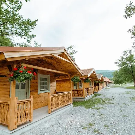 Complex Cabanele Florilor Lodge Bucea