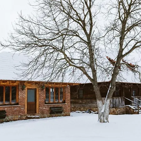 Complex Cabanele Florilor Lodge *